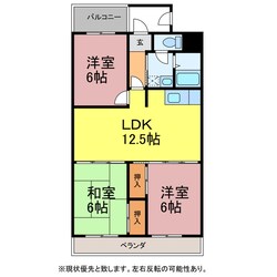 サニークエスト77の物件間取画像